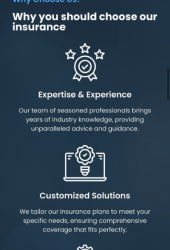 Prudent Risk Advisors website built by Winzy Studios — website designer in Nigeria